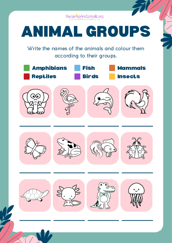 Animal Groups Worksheet