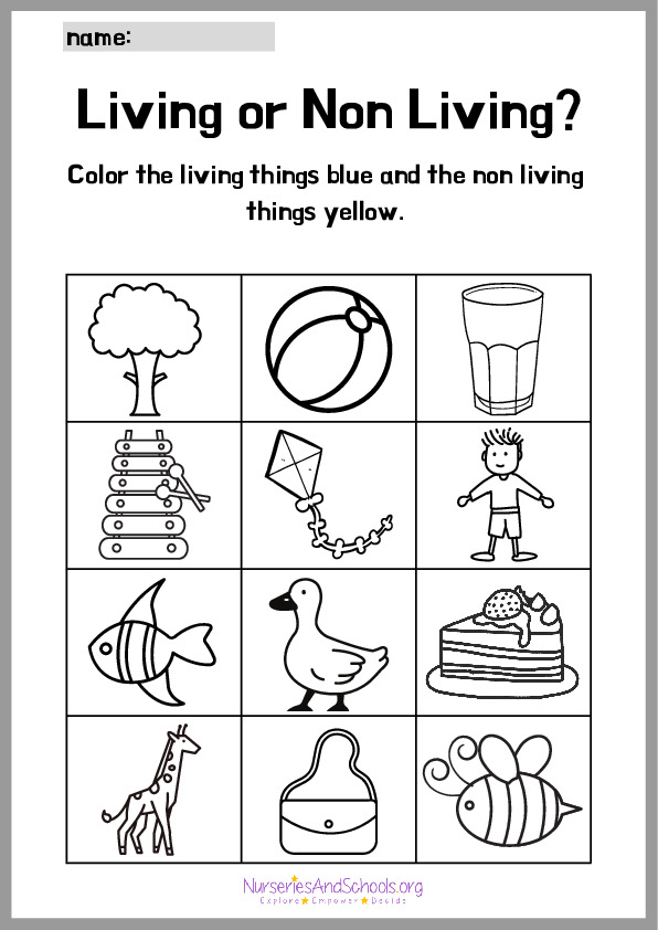 Living and Non Living Things Coloring Worksheet