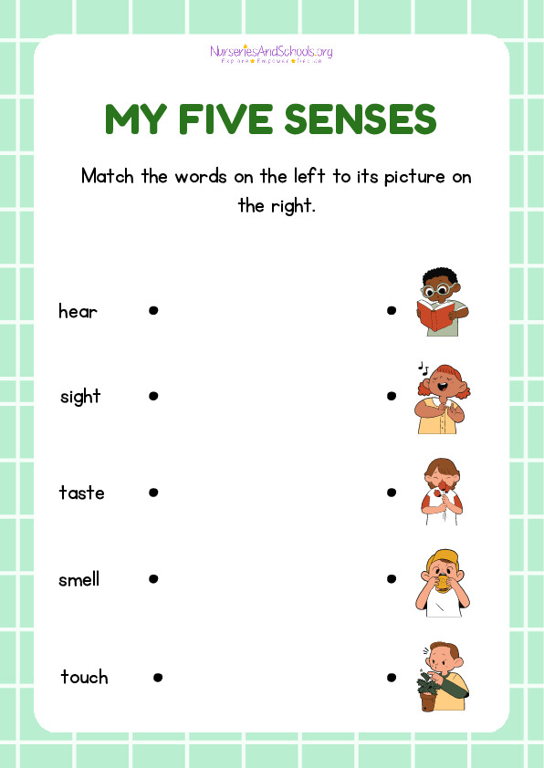 My Five Senses Science Worksheet