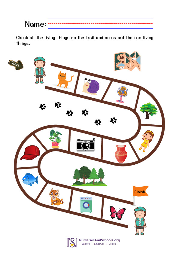 Montessori Activity- Living and non living things fun worksheet