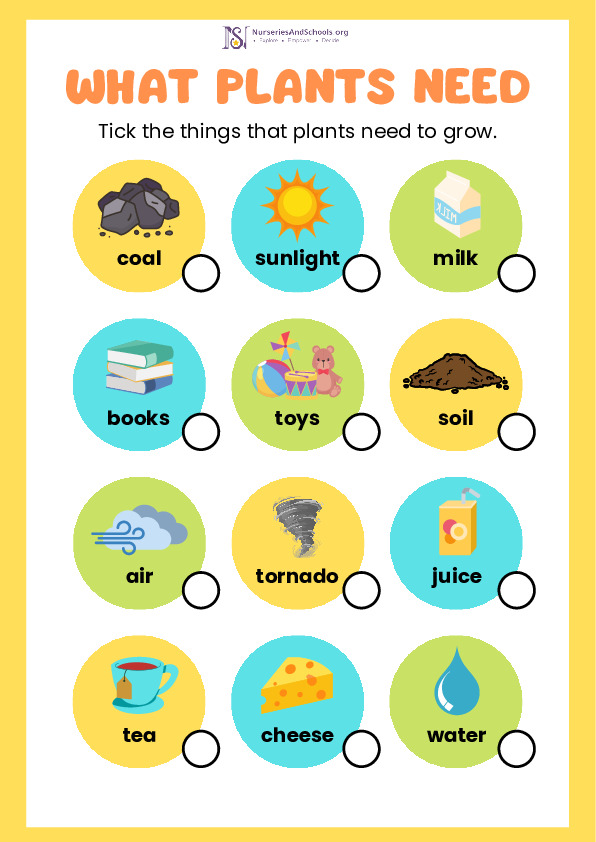 Montessori Activity- What Plants Need