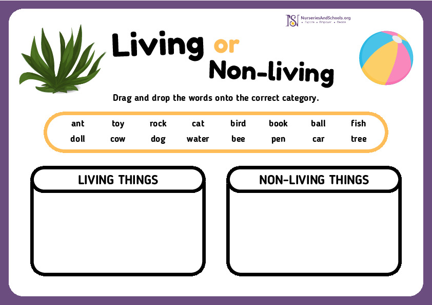 Living and Non-Living EYFS Worksheet