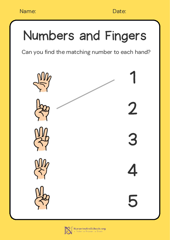 Number and Fingers