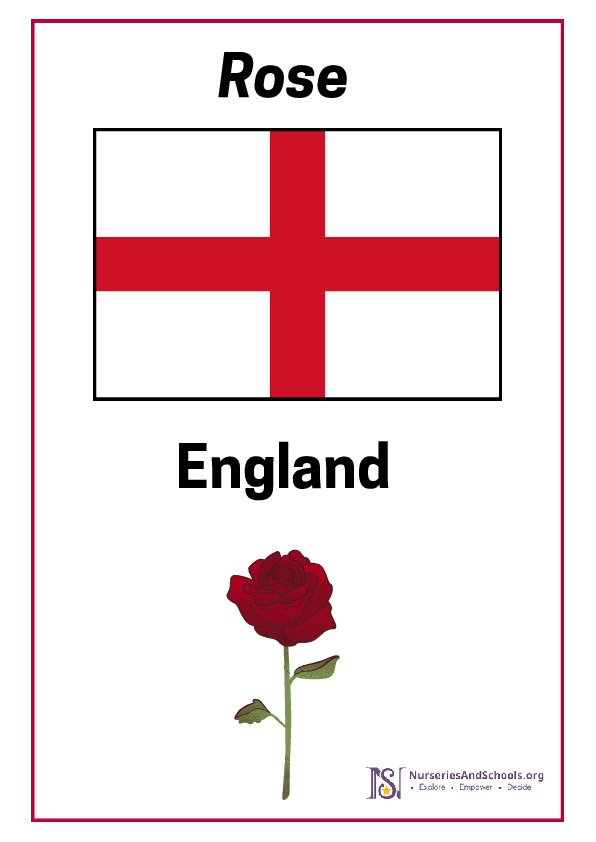 National Flowers of the UK with flags