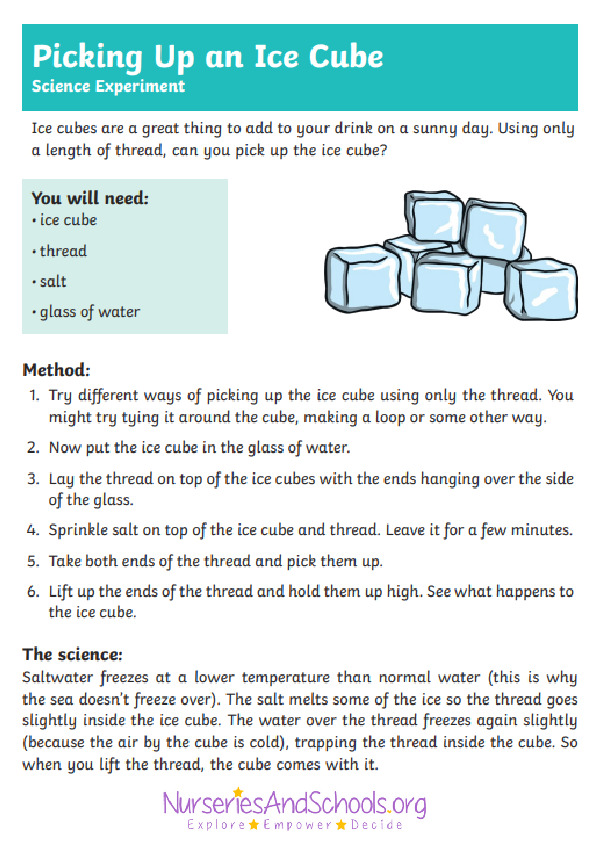 Picking up an Ice cube - Experiment worksheet