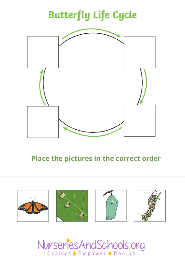 Butterfly lifecycle - place the pictures in the right order