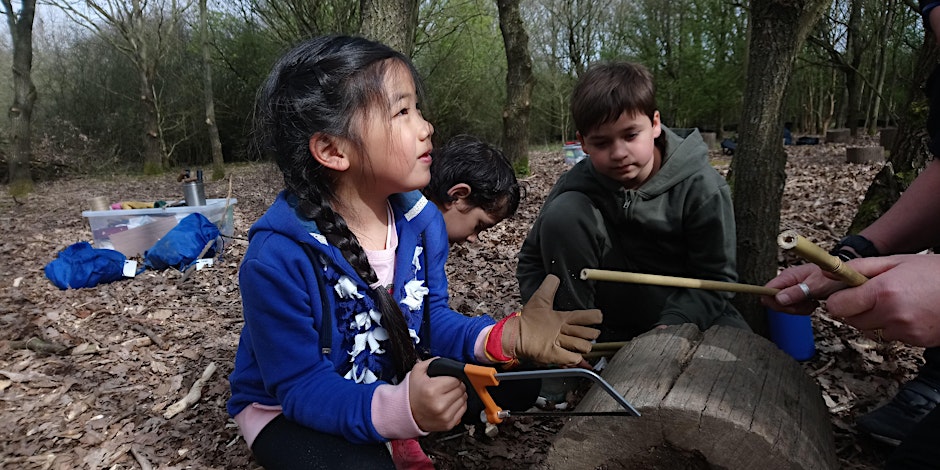 Chigwell Meadows Family Forest Fun