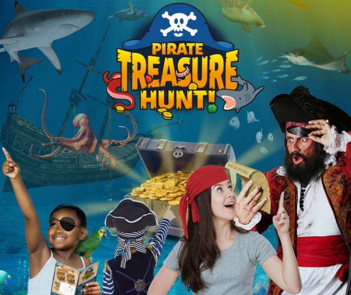 Pirate Treasure Hunt