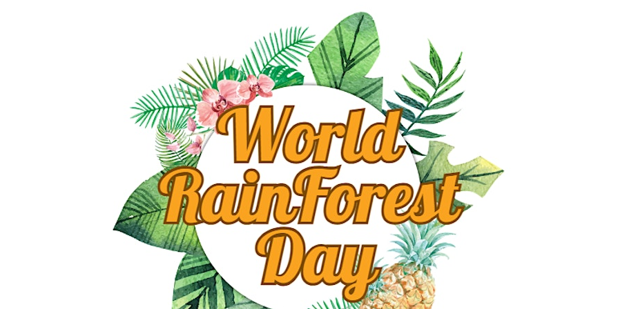 World Rainforest Day Children's Craft