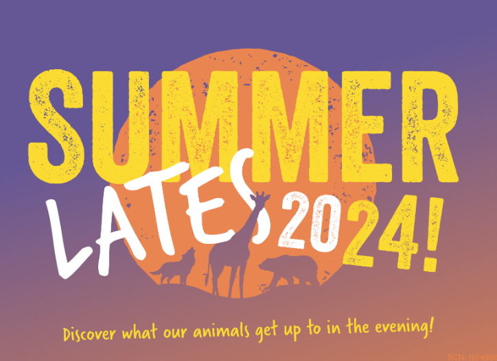 Summer Lates Listen 2024