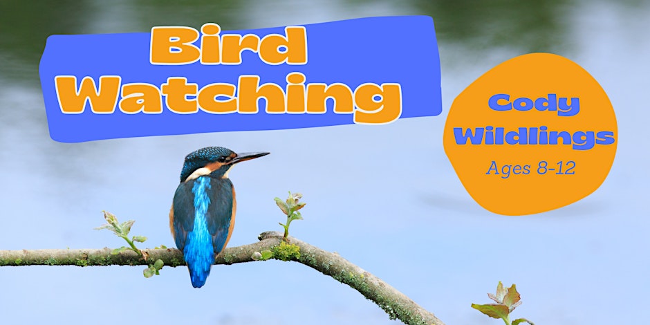 Free Kids Activity: Bird Watching