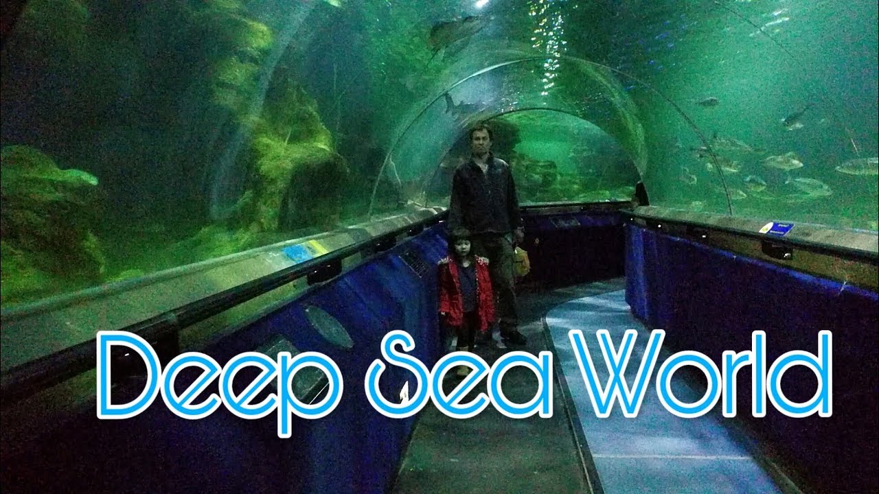 Deep sea world