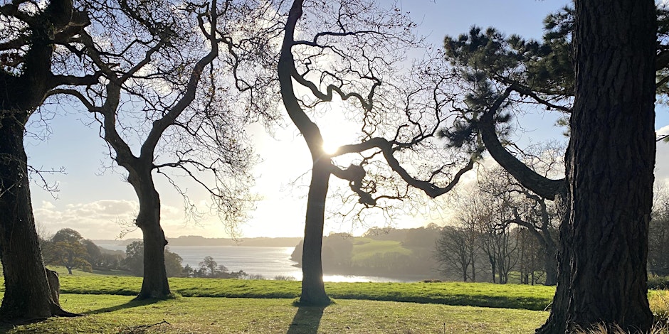 Systemic Family Constellations Workshop - Cornwall