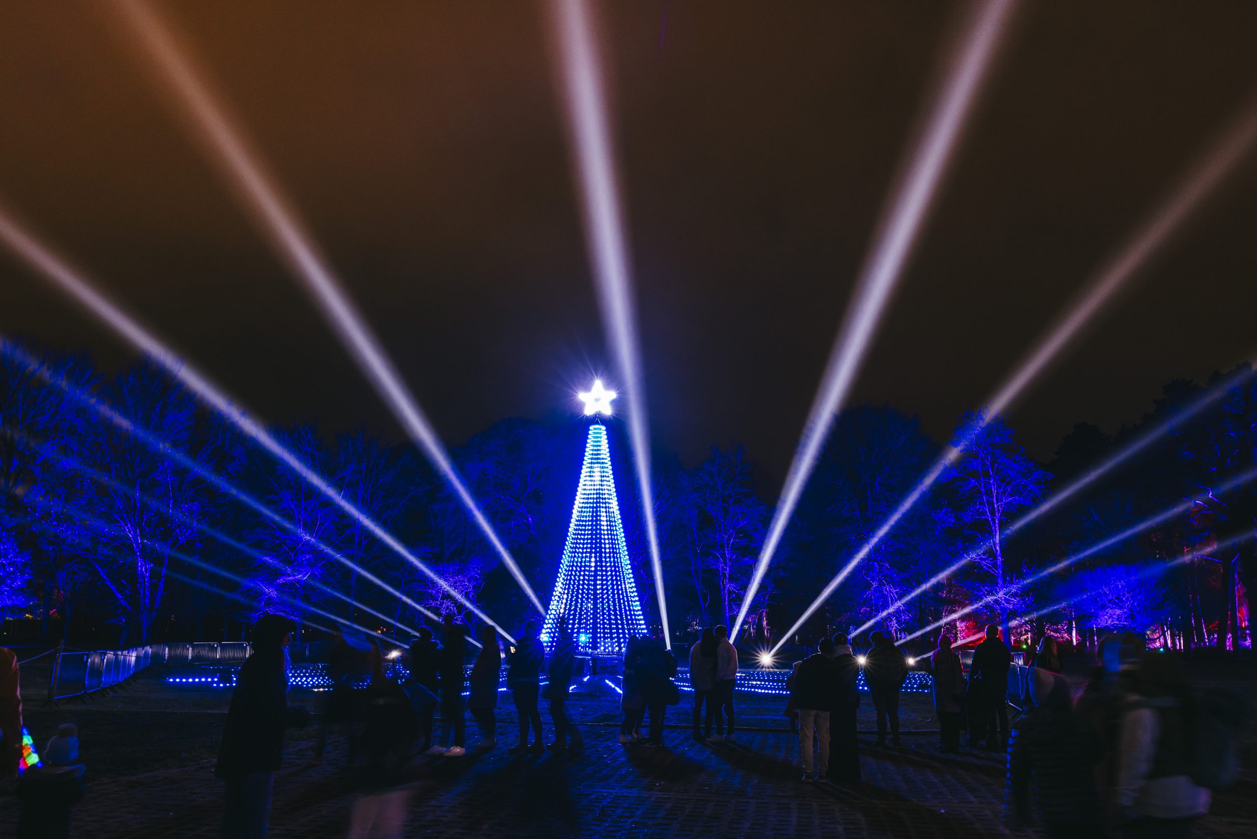 Christmas At Bute Park