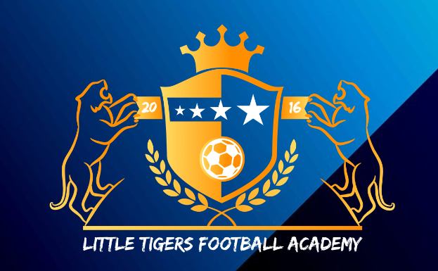 Little Tigers Football Academy (LTFA) London