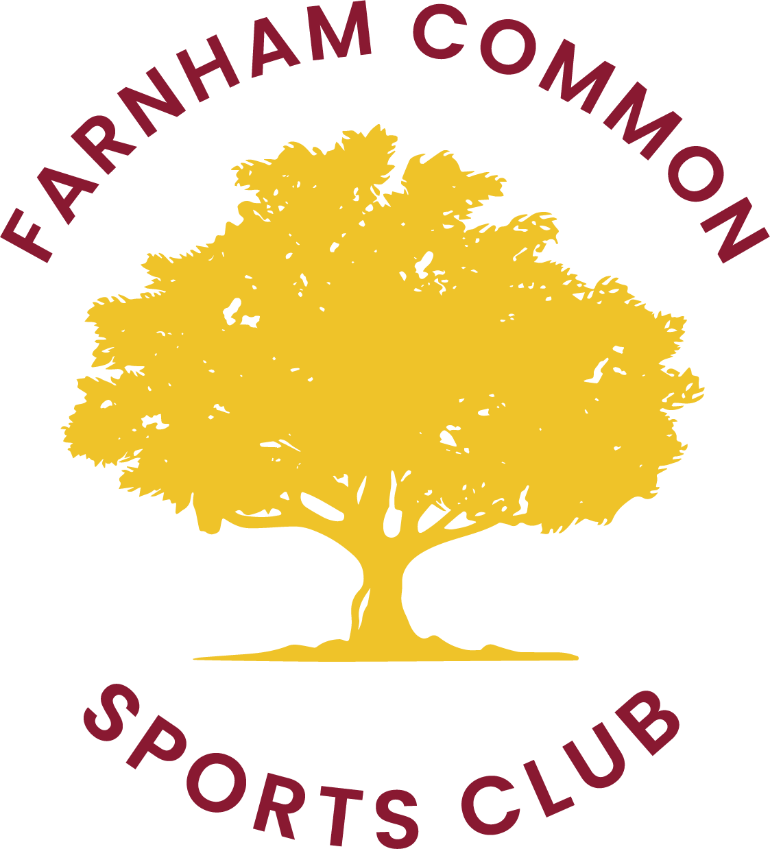 Farnham Common Lacrosse Club