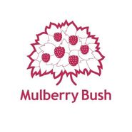 Mulberry Bush Toys