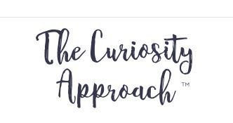 The Curiosity Approach