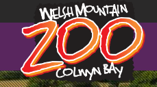 Welsh Mountain Zoo