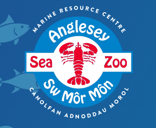 ANGLESEY SEA ZOO