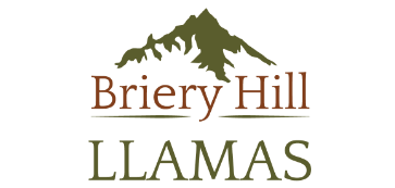 Briery Hill Llamas