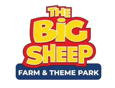 The Big Sheep Theme Park