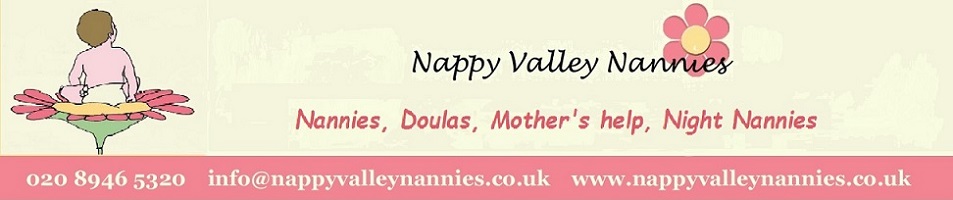 Nappy Valley Nannies