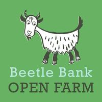 Beetle Bank Open Farm & Wildlife Sanctuary