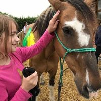 Rainbow Horses Learning Centre