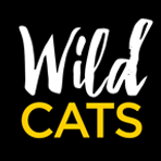 Wildcats Holiday Camps