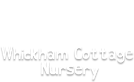 Whickham Cottage Nursery